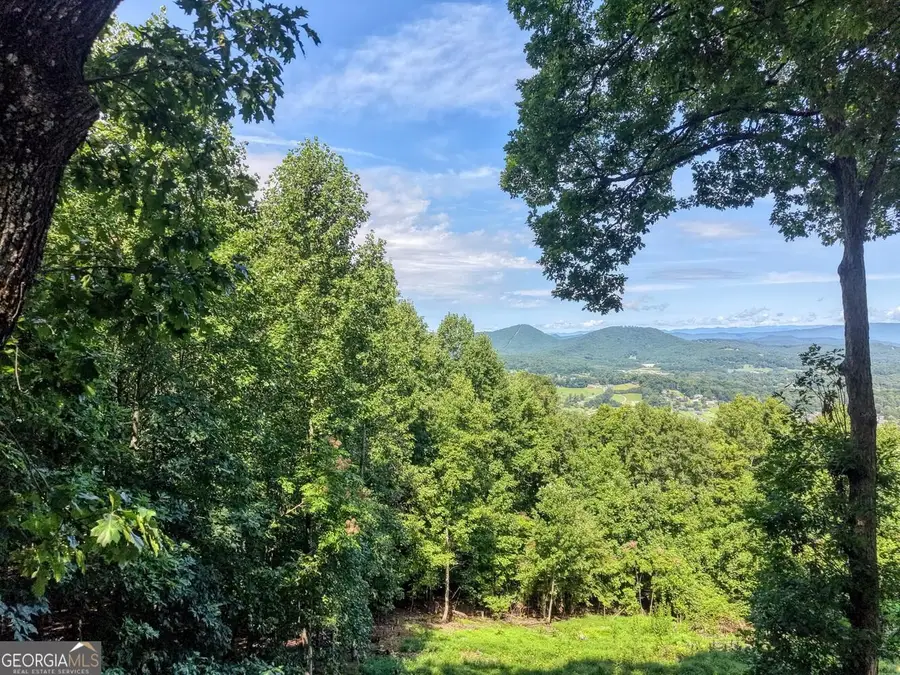 854 Frog Pond Road, Hiawassee, GA 30546 - #3