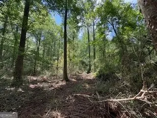 LOT 17 Smith Road, Thomaston, GA 30286 - #1