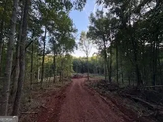 LOT 17 Smith Road, Thomaston, GA 30286 - #2