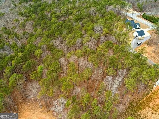 4243 Harmony Grove Church Road, Dallas, GA 30132 - #2