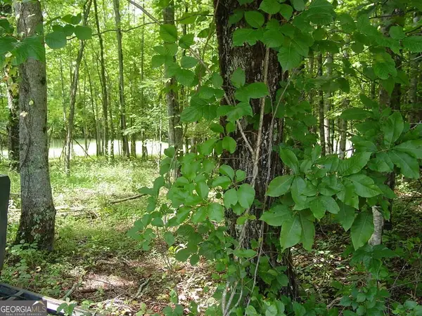 #13 Dan Knob, Hayesville, NC 28904
