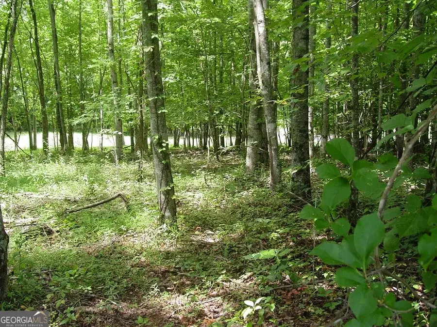 #13 Dan Knob, Hayesville, NC 28904 - #2