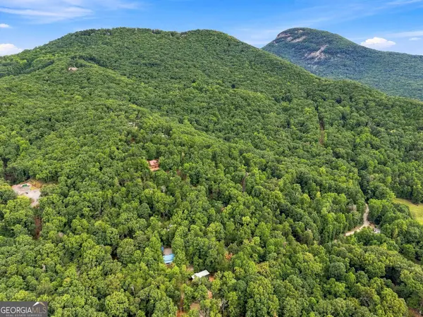 0 Shady Lane, Cleveland, GA 30528