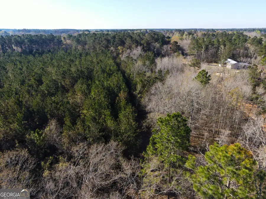 0 Clifton Road, Statesboro, GA 30458 - #3