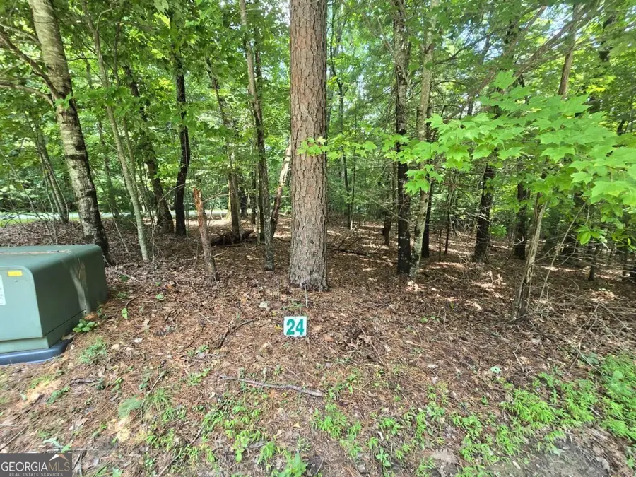 LOT 24 Possum Poke Road #24R, Ellijay, GA 30536 - #3