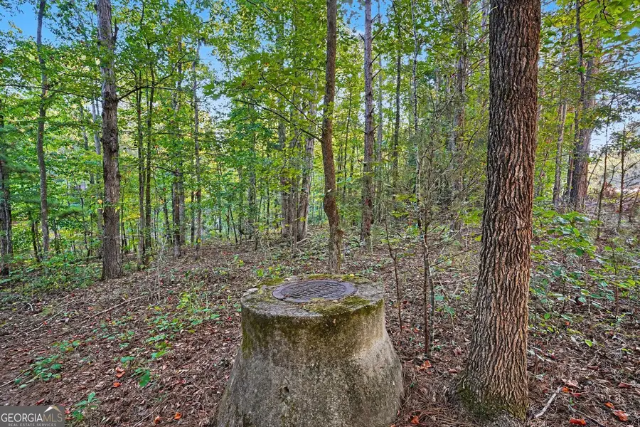 0 Locust Road, Locust Grove, GA 30248 - #2