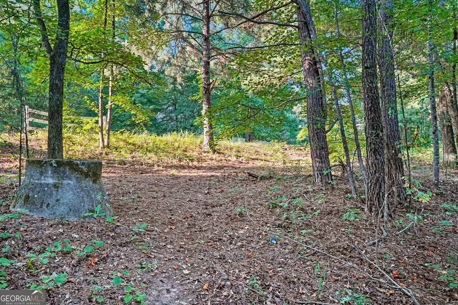 0 Locust Road, Locust Grove, GA 30248 - #3