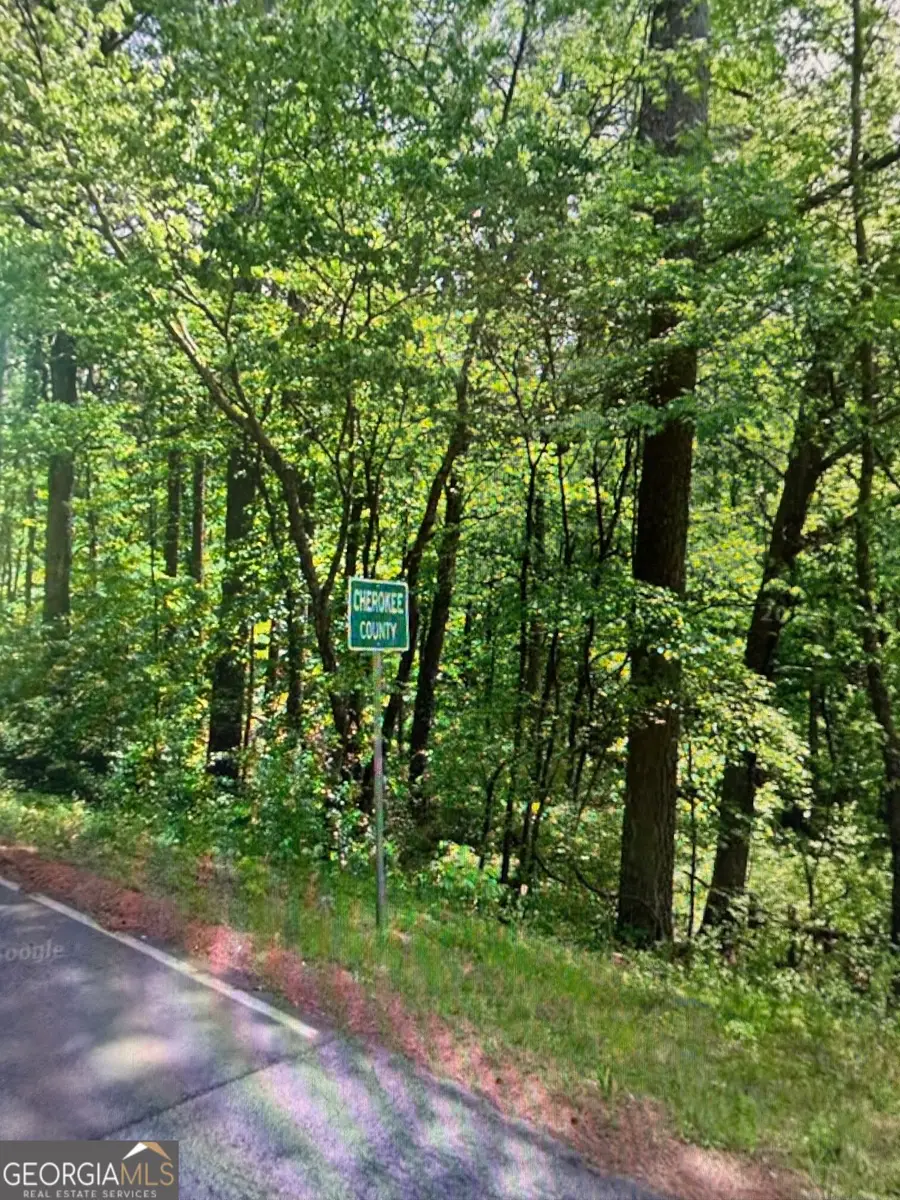 0 Fairview Road, Ball Ground, GA 30107 - #3