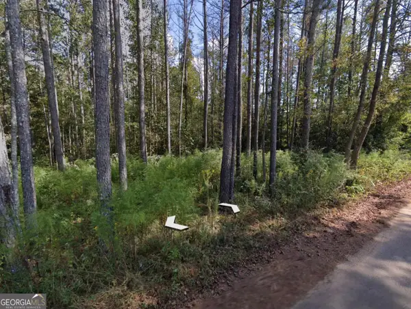 0 Holly Road #TRACT 3, Bowdon, GA 30108