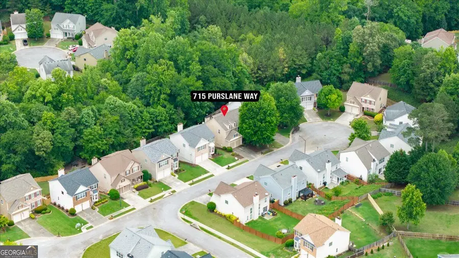 715 Purslane Way, Woodstock, GA 30188 - #3