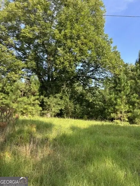 806 Pea Ridge Road, Juliette, GA 31046 - #1