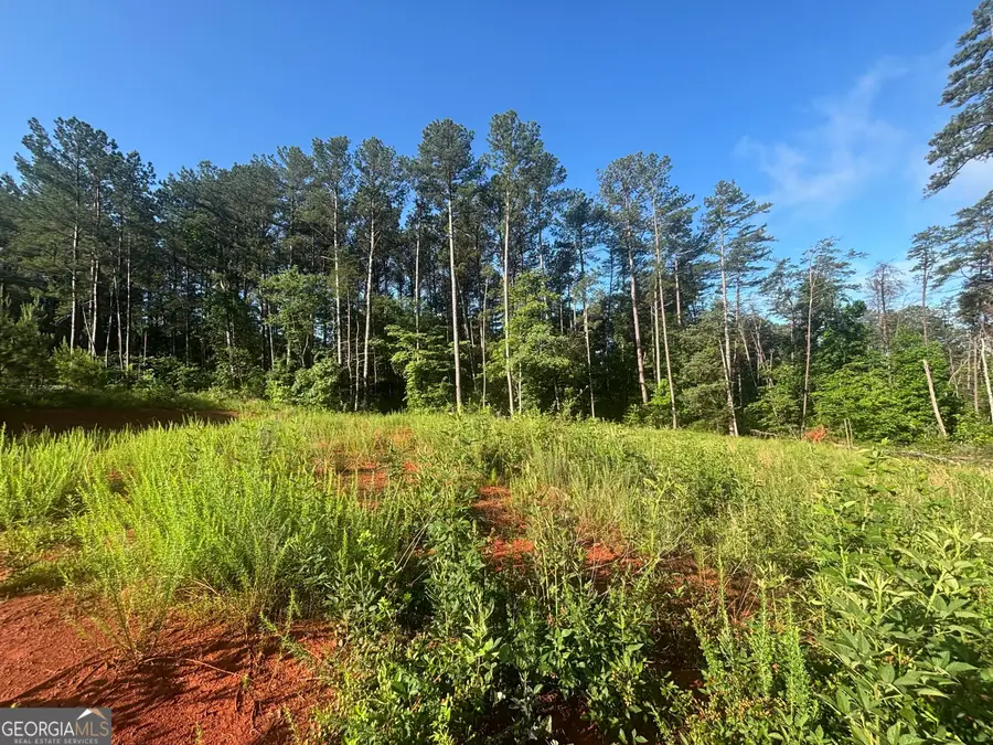 1944 Davis Road, Eastanollee, GA 30538 - #3