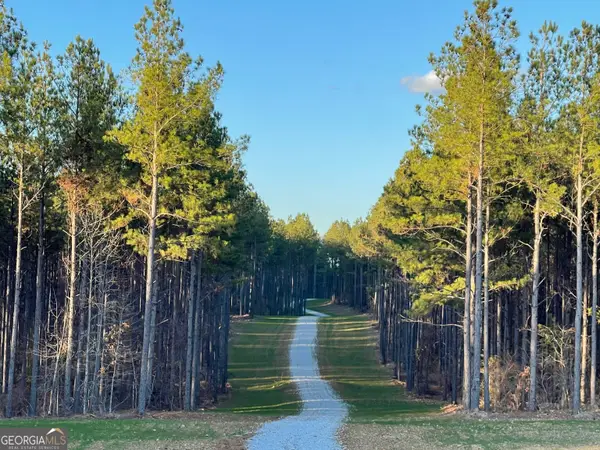 92 Lillian Strong Road, Carlton, GA 30627