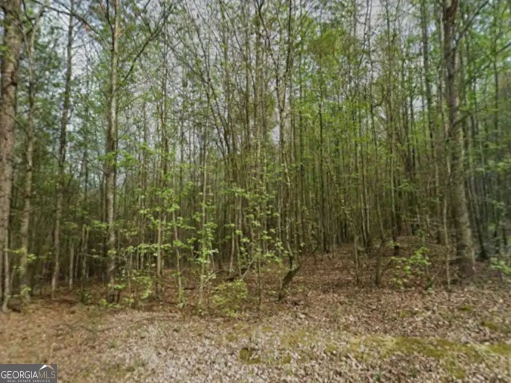 0 Mitchell Road, Maysville, GA 30558 - #1