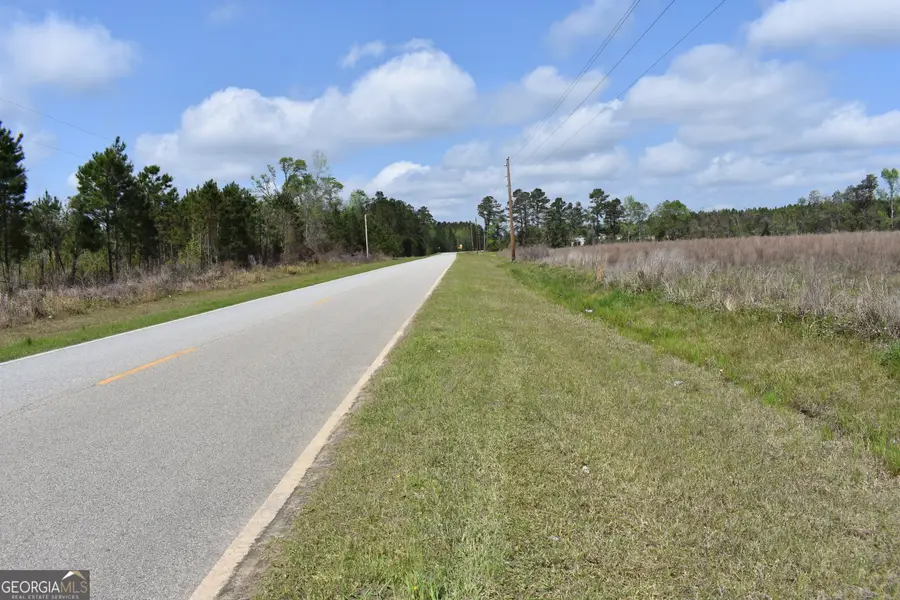 0 Oak Tree Road #(31.62 AC), Metter, GA 30439 - #3