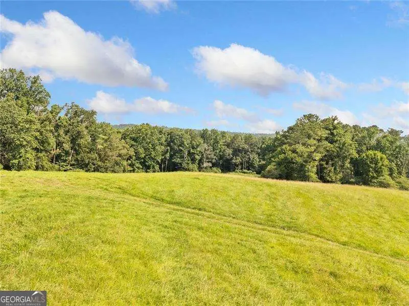 187 Long Road, Ball Ground, GA 30107 - #3