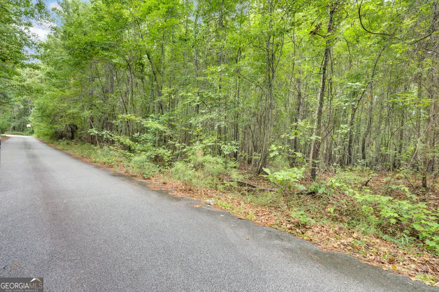 3735 Millstream Lane, Stockbridge, GA 30281 - #2