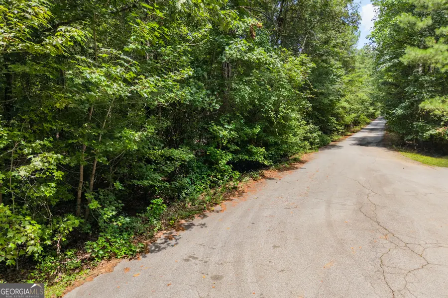3735 Millstream Lane, Stockbridge, GA 30281 - #3
