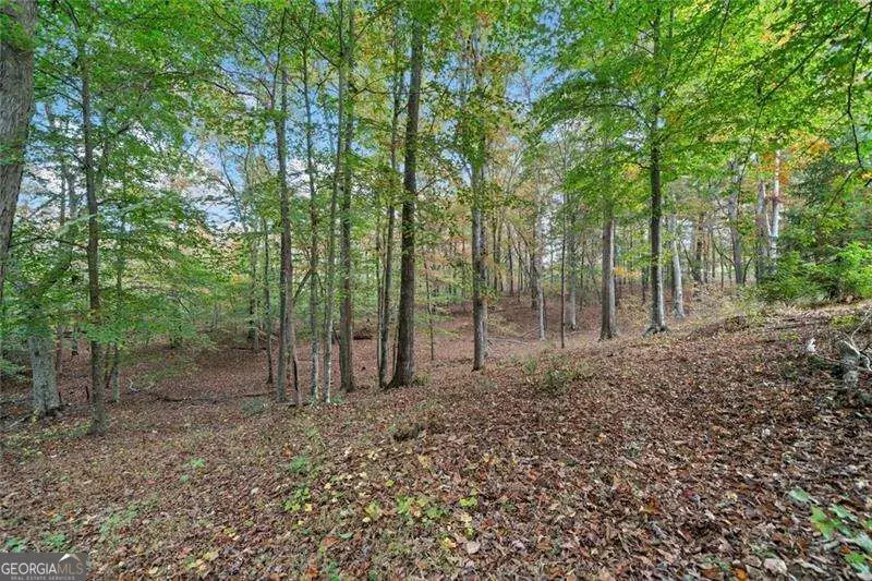 0 Ammons Drive, Waleska, GA 30183 - #2