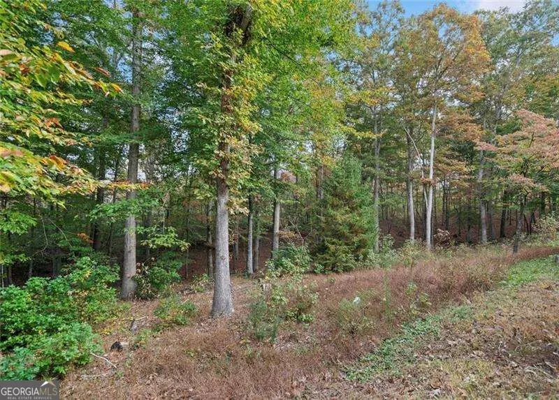 0 Ammons Drive, Waleska, GA 30183 - #3