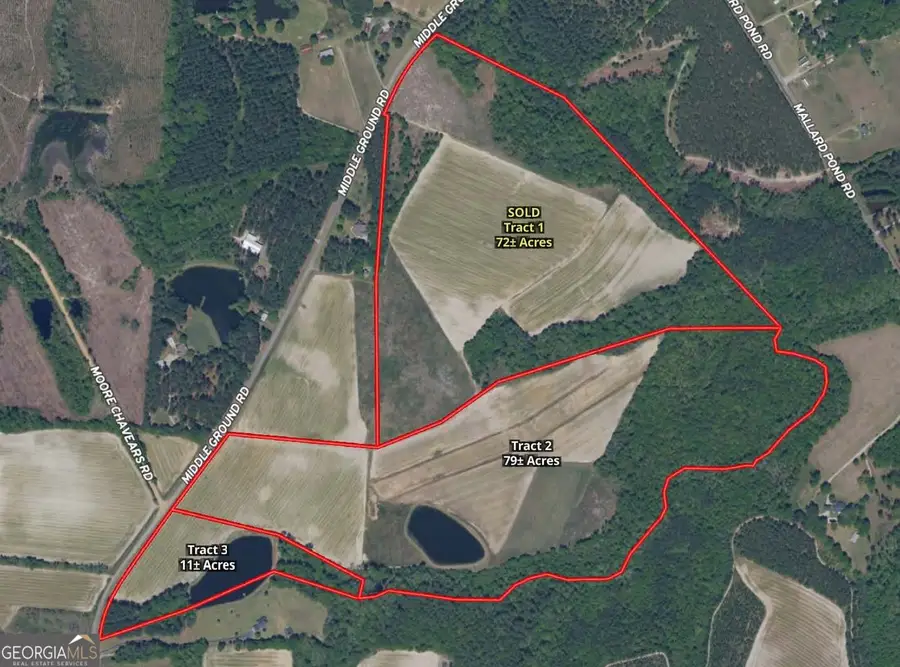 0 Middleground Road #TRACT 3, Statesboro, GA 30461 - #2