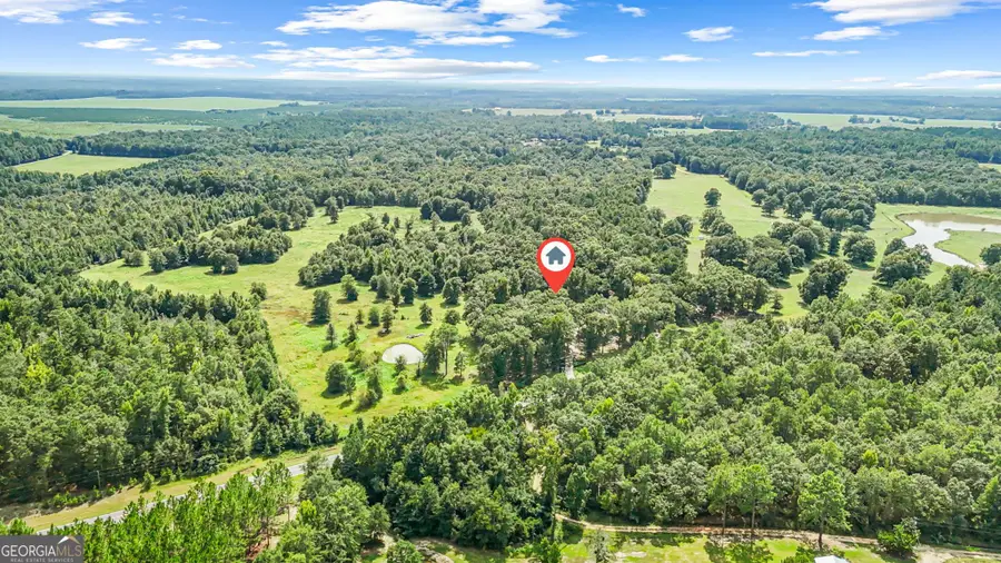1010 Frank Cook Road, Cochran, GA 31014 - #3