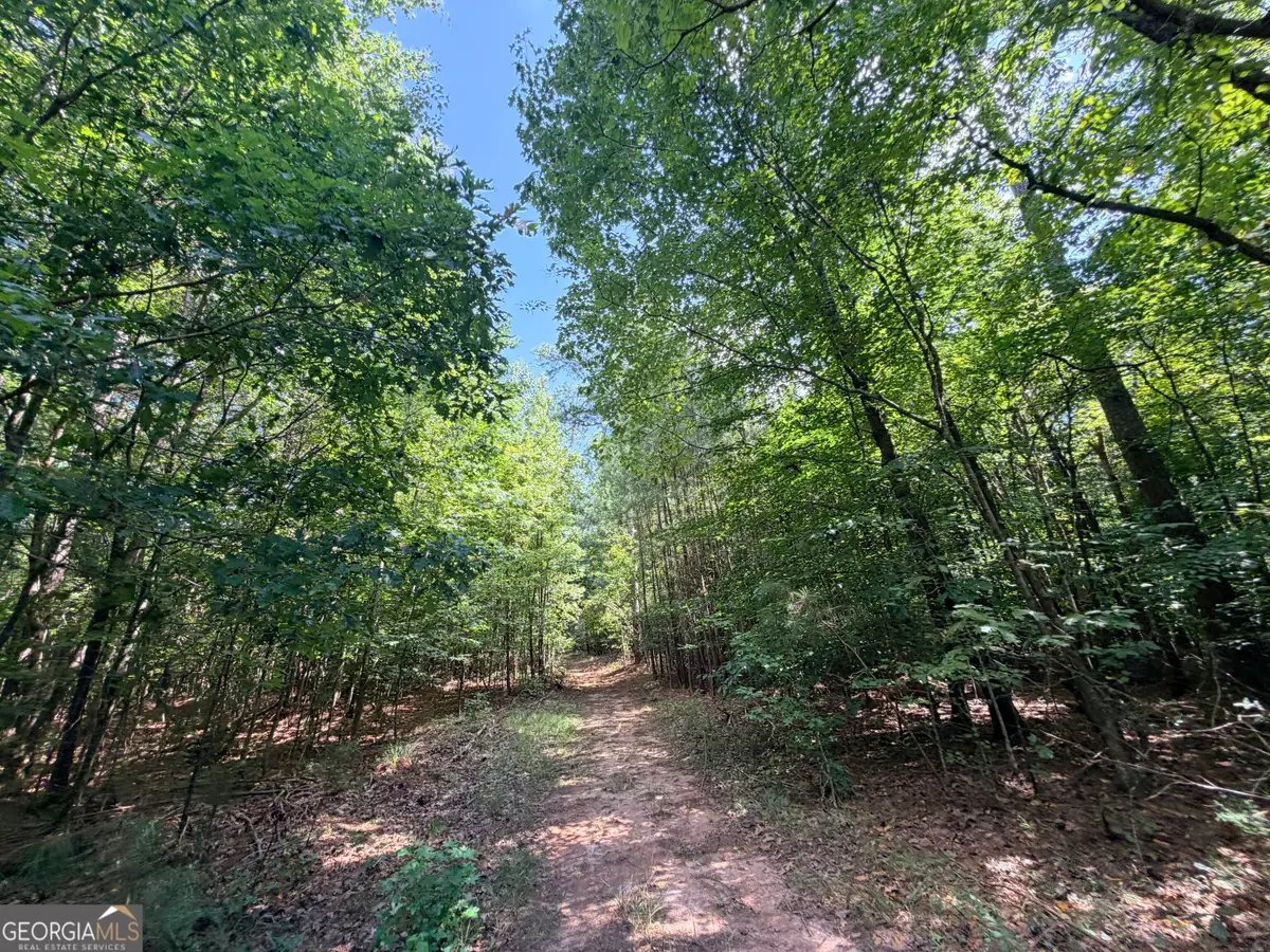 8 Bunch Road, Tignall, GA 30668 - #1