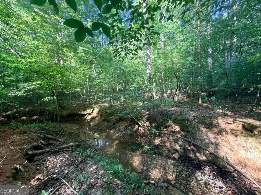 8 Bunch Road, Tignall, GA 30668 - #3