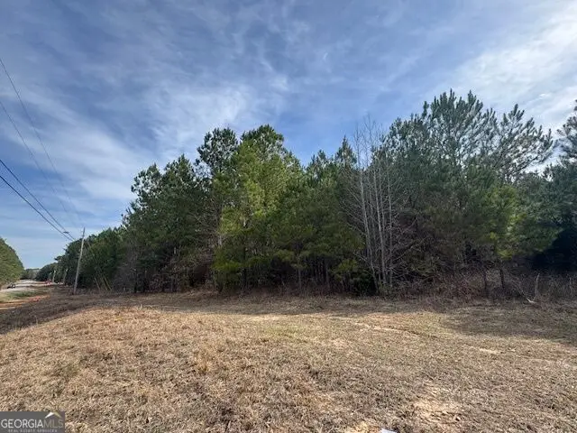 39 Brush Creek Park Road, Franklin, GA 30217 - #3