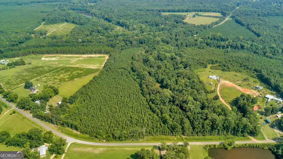 LOT A Atwell Road, Danville, GA 31017 - #2