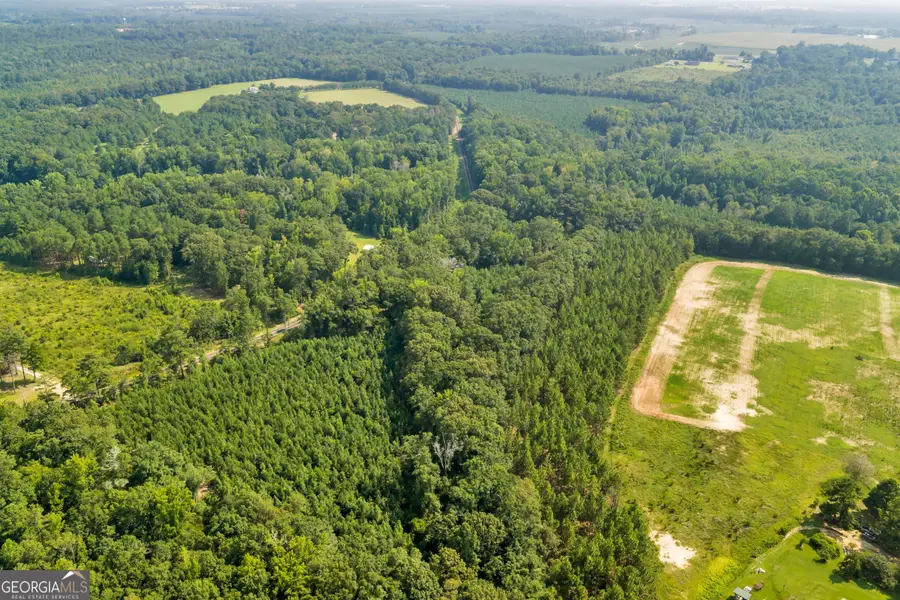 LOT C Atwell Road, Danville, GA 31017 - #3