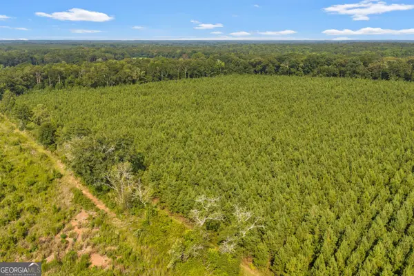 ALLEN LOT B Turkey Creek Road, Danville, GA 31017
