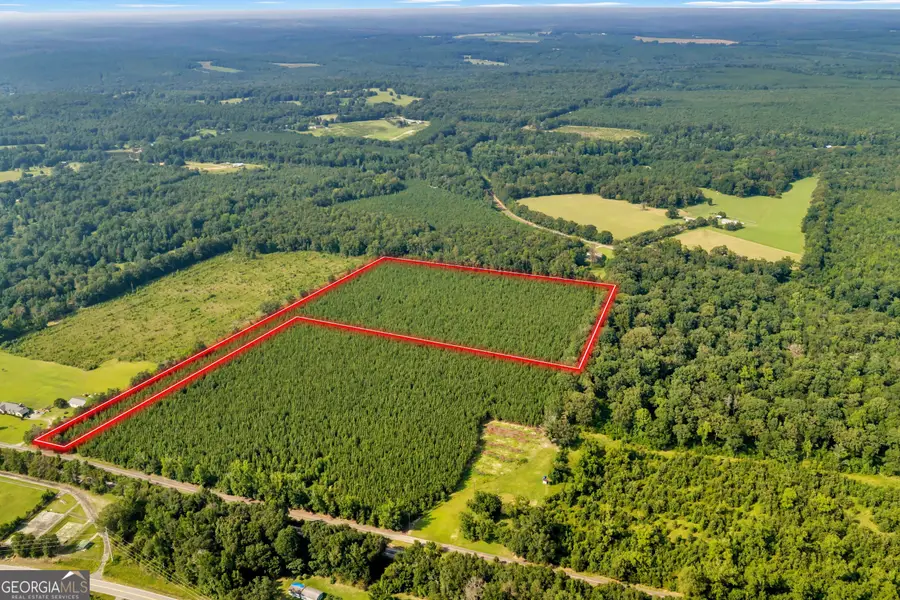 ALLEN LOT B Turkey Creek Road, Danville, GA 31017 - #3