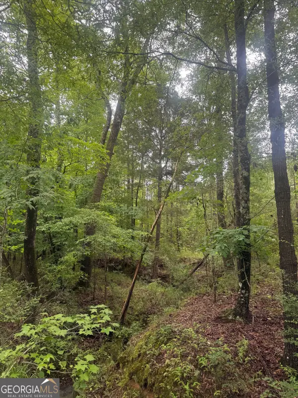0001 Sandy Cross Road, Crawfordville, GA 30631