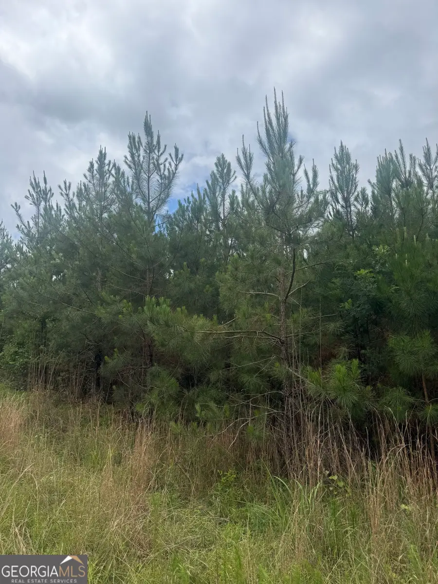 0001 Sandy Cross Road, Crawfordville, GA 30631 - #2