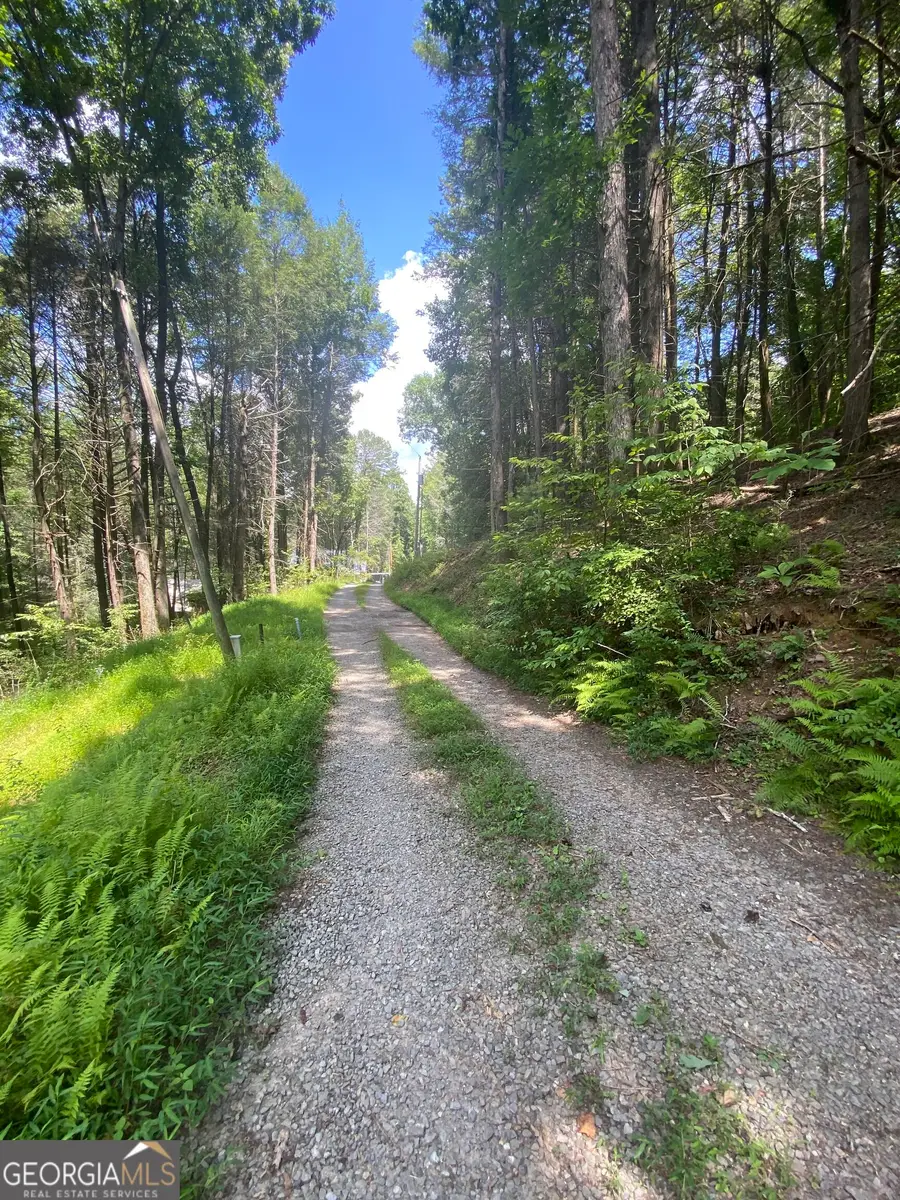 HEMLOCK Hemlock Trail, Blue Ridge, GA 30513 - #2