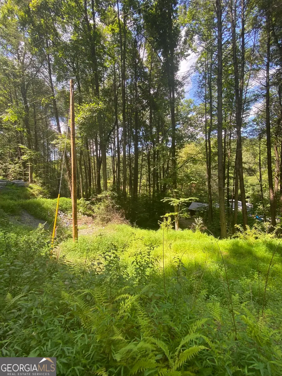 HEMLOCK Hemlock Trail, Blue Ridge, GA 30513 - #3