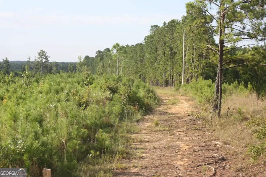0 Balerma Church Road #TRACT 2, Sparta, GA 31087 - #2