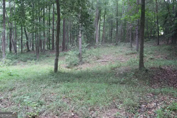 330 Mountain View Road #TRACK 1, Lavonia, GA 30553