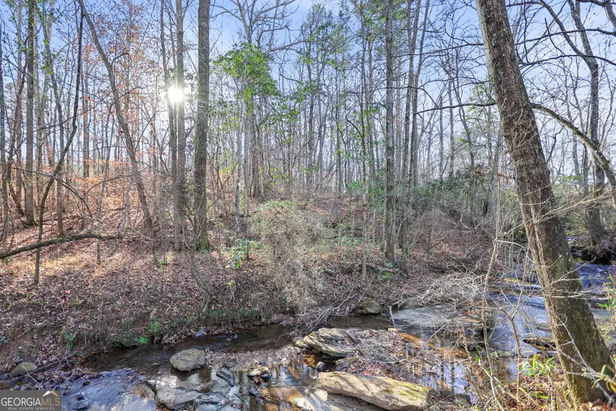 52.2 AC Franklin Parkway, Franklin, GA 30217 - #2