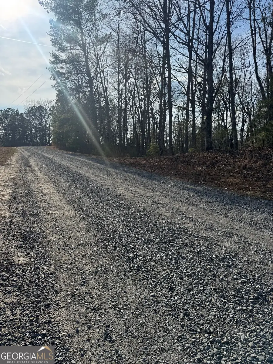 208 Lake Forest Drive, Ellijay, GA 30540 - #2