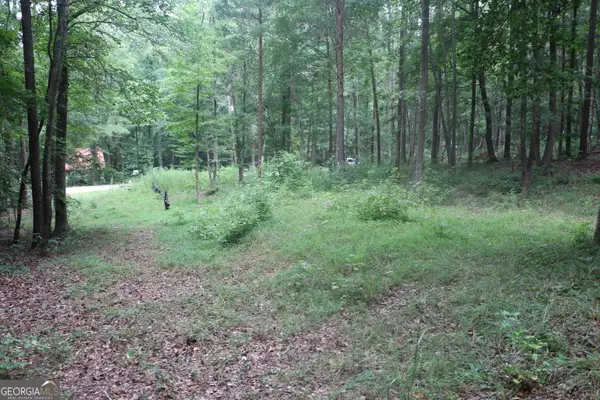 304 Mountain View Road #TRACK 2, Lavonia, GA 30553