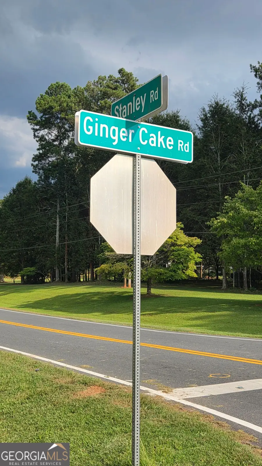 LOT 2 Ginger Cake Road, Fayetteville, GA 30214 - #3
