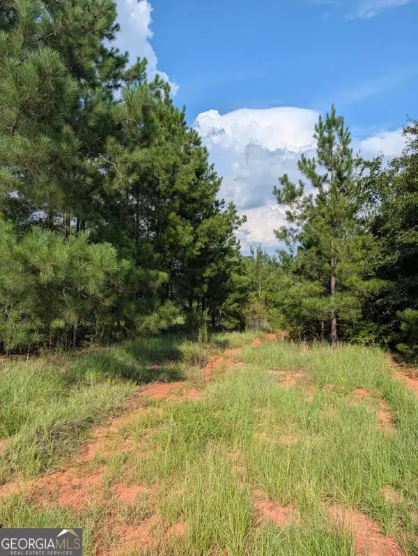 0 Nelson Lane, Louisville, GA 30434