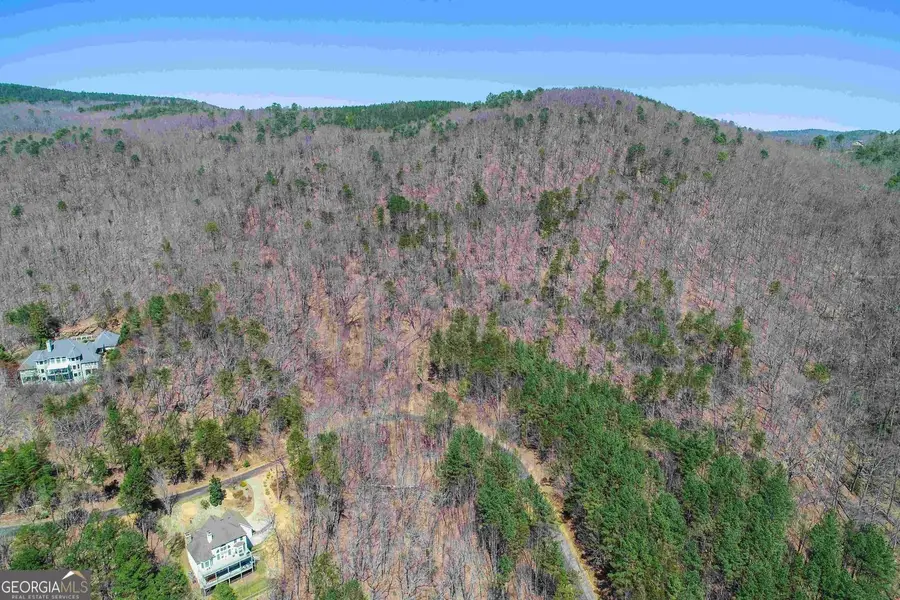456 Yates Circle, Clarkesville, GA 30523 - #2