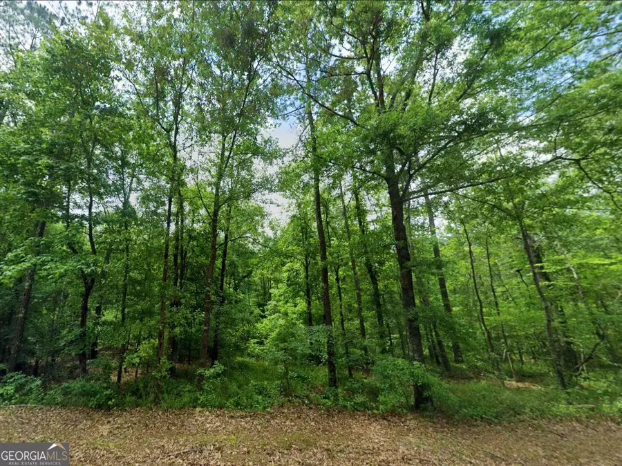 0 Old Eatonton, Sparta, GA 31087 - #2