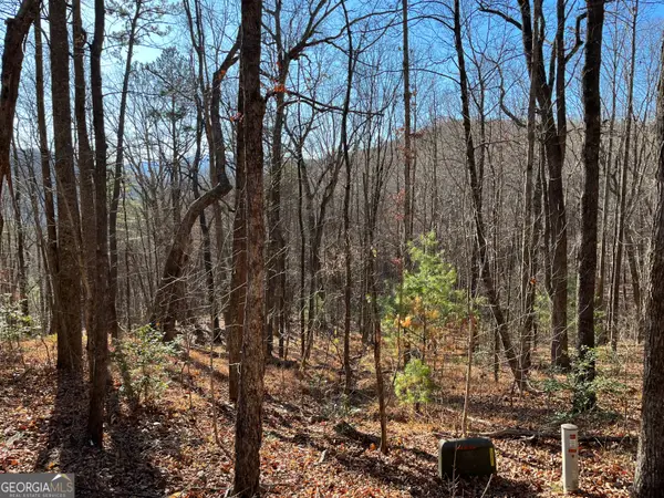 LOT #1 Forest Canopy Way, Clayton, GA 30525