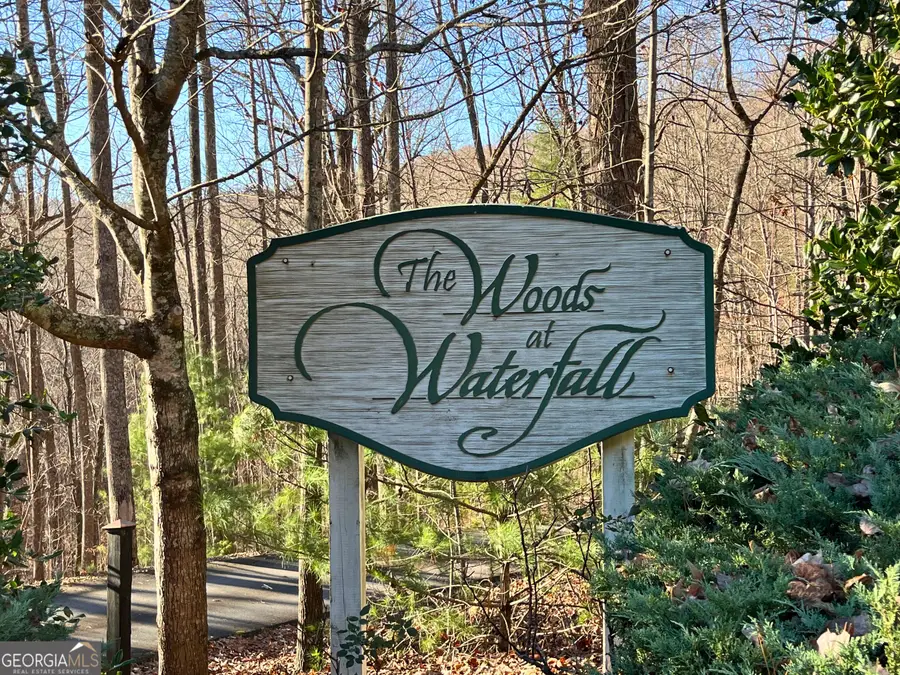 LOT #1 Forest Canopy Way, Clayton, GA 30525 - #2