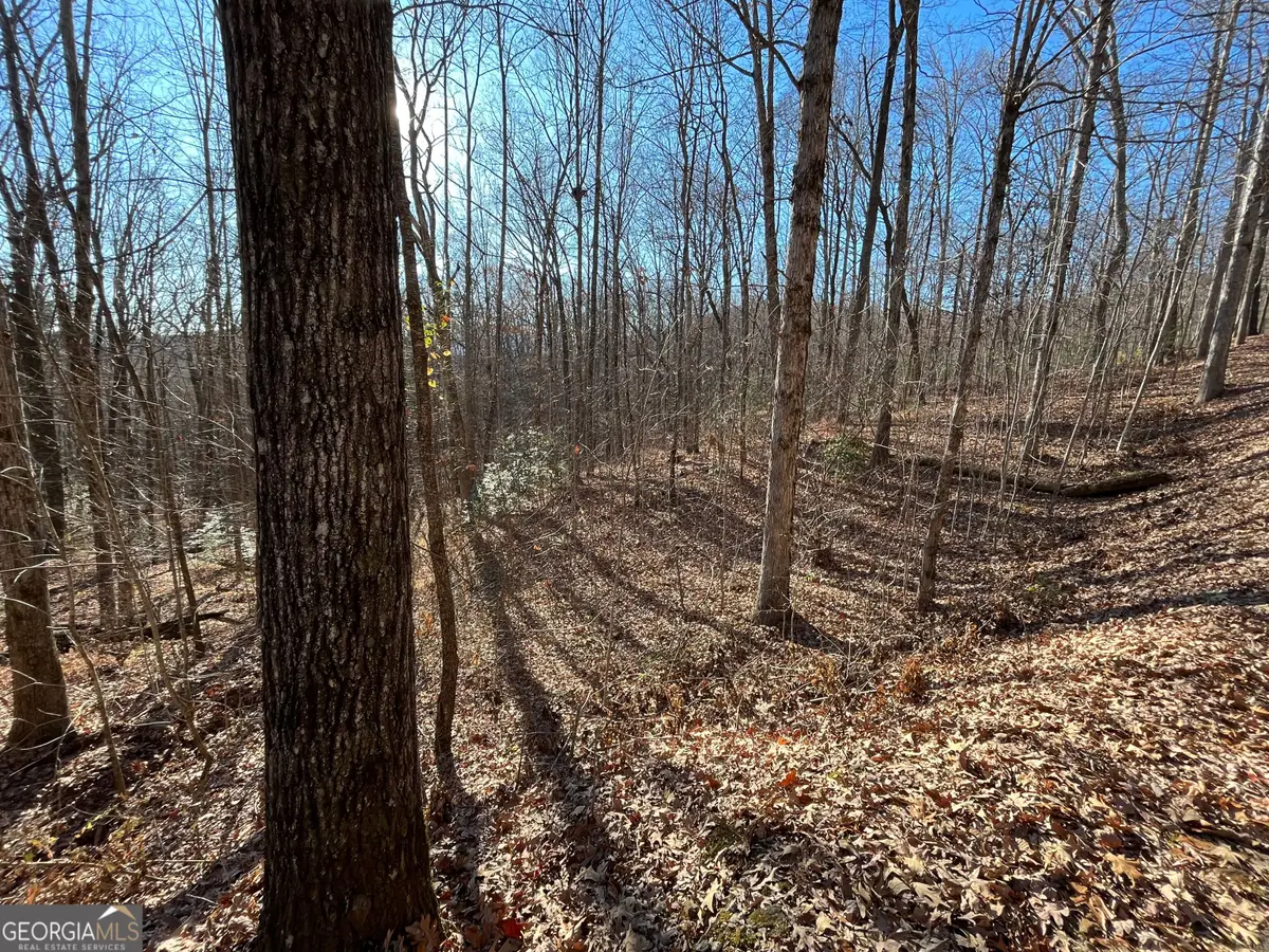LOT #2 Forest Canopy Way, Clayton, GA 30525 - #1
