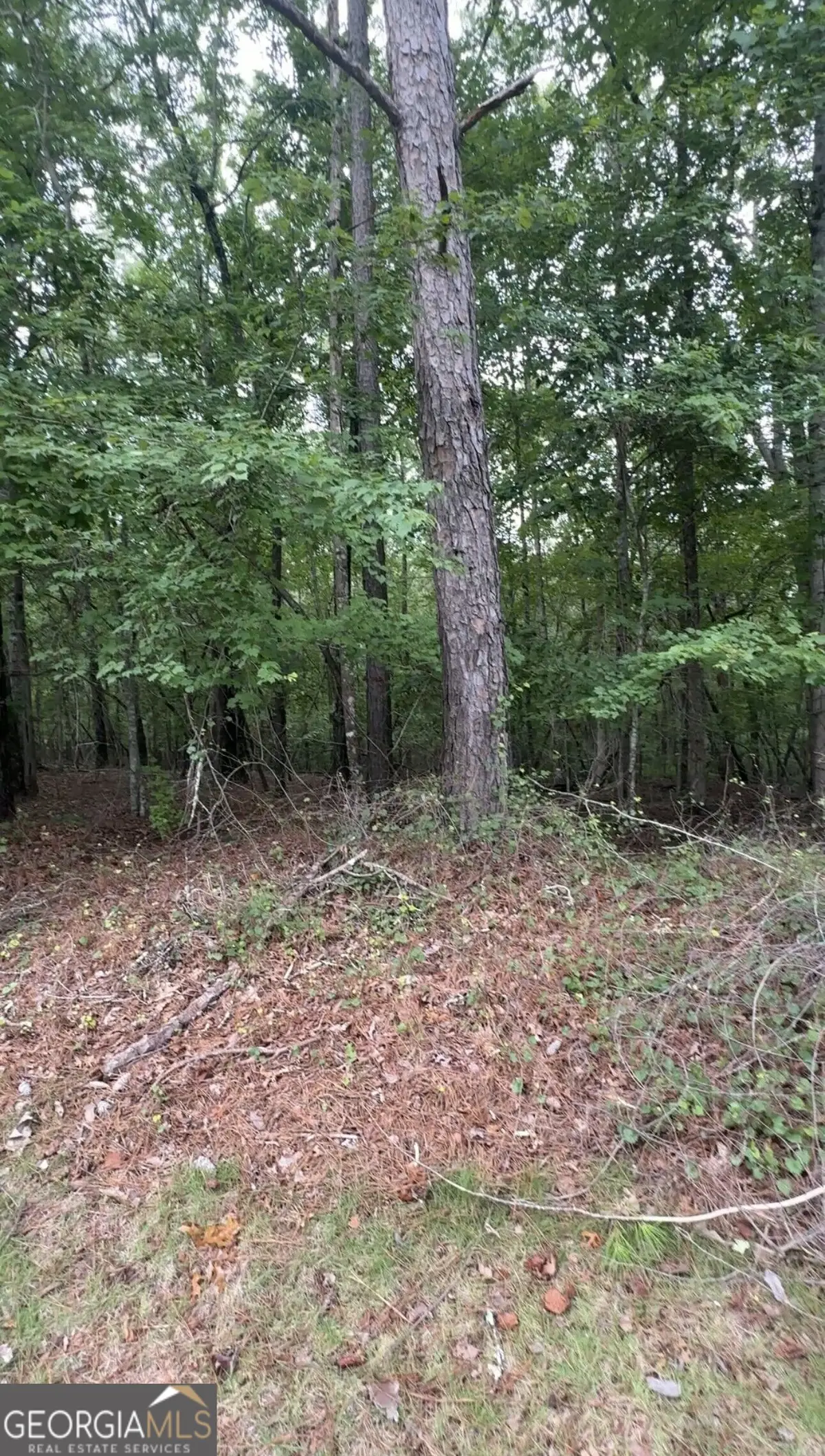 5850 Double Birch, Douglasville, GA 30135 - #1